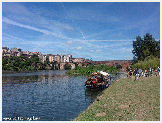 Vue panoramique d'Albi avec la cathédrale Sainte-Cécile et le Pont Vieux