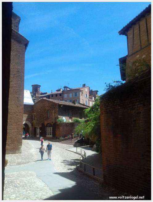 Vue panoramique d'Albi avec la cathédrale Sainte-Cécile et le Pont Vieux