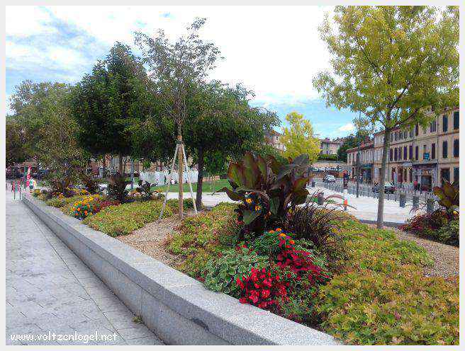 Vue panoramique d'Albi avec la cathédrale Sainte-Cécile et le Pont Vieux