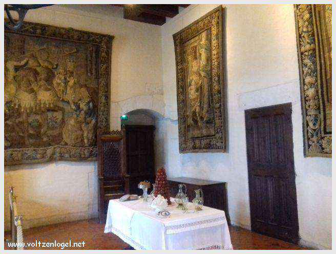 Vue panoramique sur le Château Royal d'Amboise et ses jardins à la française