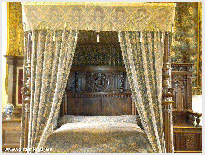 Vue panoramique sur le Château Royal d'Amboise et ses jardins à la française