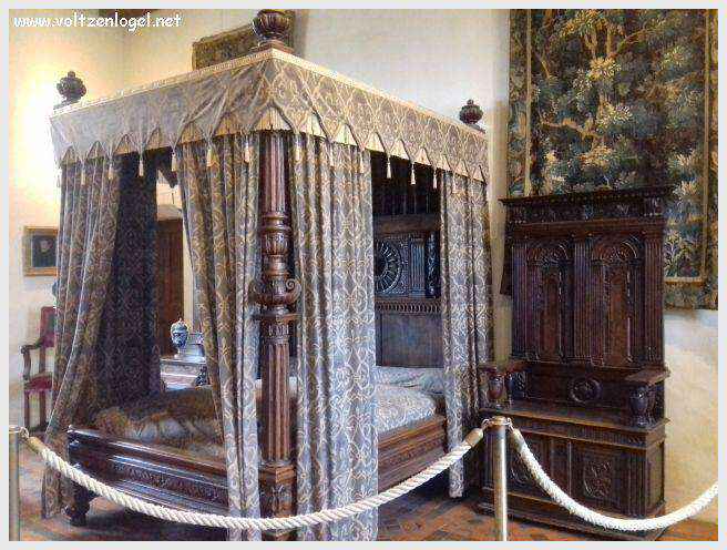 Vue panoramique sur le Château Royal d'Amboise et ses jardins à la française