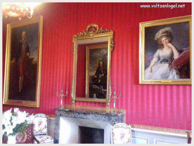 Vue panoramique sur le Château Royal d'Amboise et ses jardins à la française