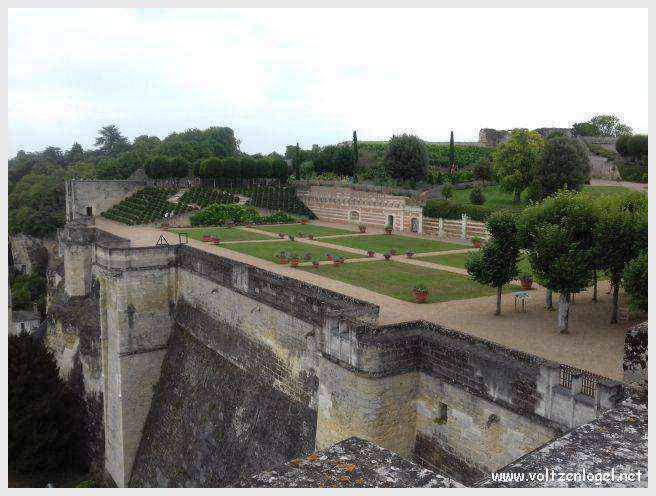 Vue panoramique sur le Château Royal d'Amboise et ses jardins à la française