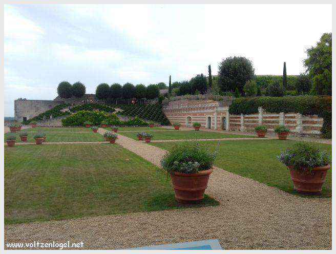 Vue panoramique sur le Château Royal d'Amboise et ses jardins à la française