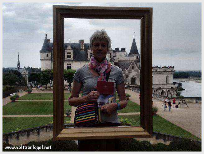 Vue panoramique sur le Château Royal d'Amboise et ses jardins à la française