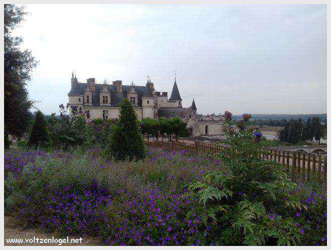 Vue panoramique sur le Château Royal d'Amboise et ses jardins à la française