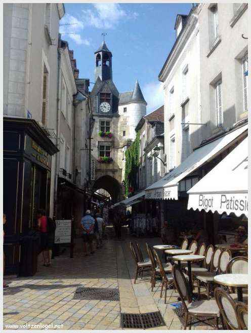 Vue panoramique sur le Château Royal d'Amboise et ses jardins à la française
