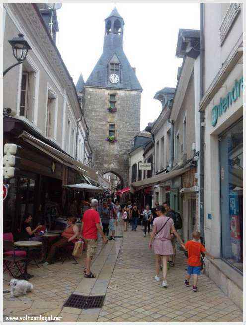 Vue panoramique sur le Château Royal d'Amboise et ses jardins à la française