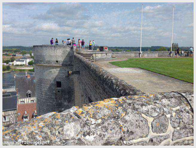 Vue panoramique sur le Château Royal d'Amboise et ses jardins à la française
