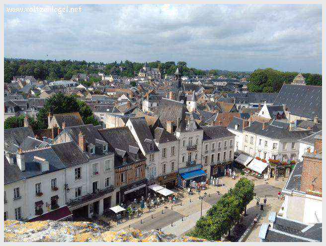 Vue panoramique sur le Château Royal d'Amboise et ses jardins à la française