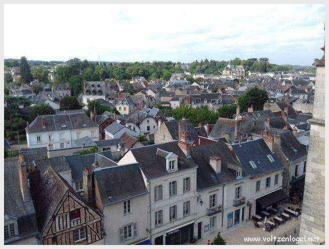 Vue panoramique sur le Château Royal d'Amboise et ses jardins à la française