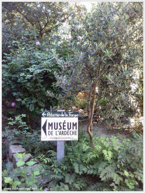 Vue panoramique de Balazuc, village médiéval surplombant les gorges de l'Ardèche
