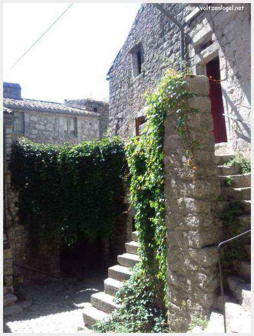Vue panoramique de Balazuc, village médiéval surplombant les gorges de l'Ardèche