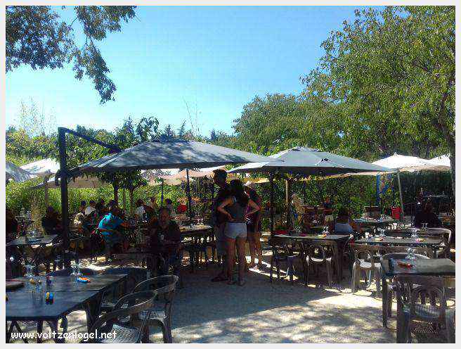Vue panoramique de Balazuc, village médiéval surplombant les gorges de l'Ardèche