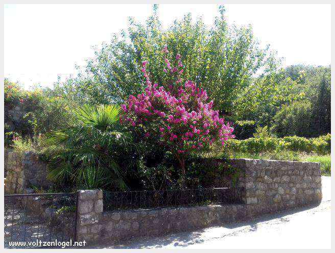 Vue panoramique de Balazuc, village médiéval en Ardèche, avec ses ruelles pavées et son château historique.