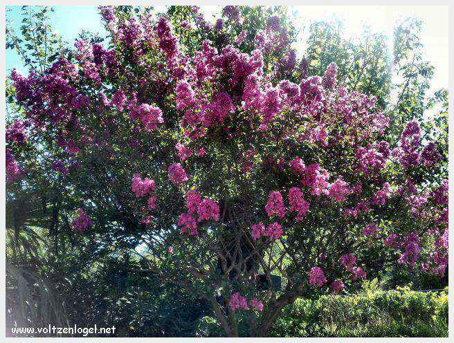 Vue panoramique de Balazuc, village médiéval en Ardèche, avec ses ruelles pavées et son château historique.