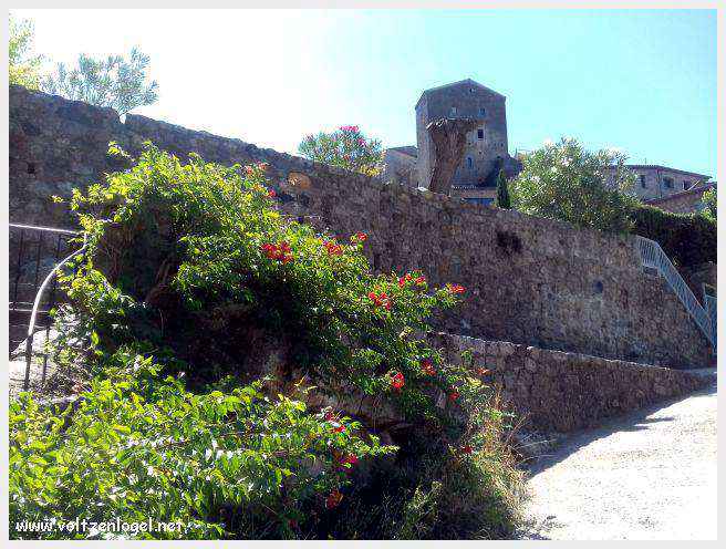 Vue panoramique de Balazuc, village médiéval en Ardèche, avec ses ruelles pavées et son château historique.
