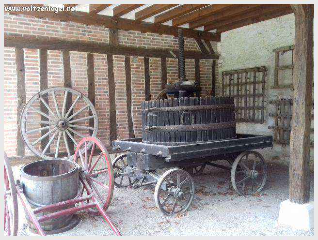 Château de Chenonceau : symbole de la Renaissance française et de la beauté des jardins historiques.