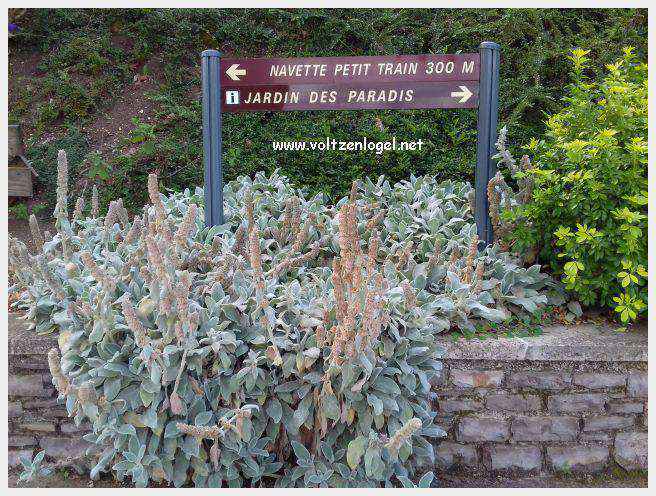 Vue panoramique de Cordes-sur-Ciel, joyau médiéval perché dans le Tarn