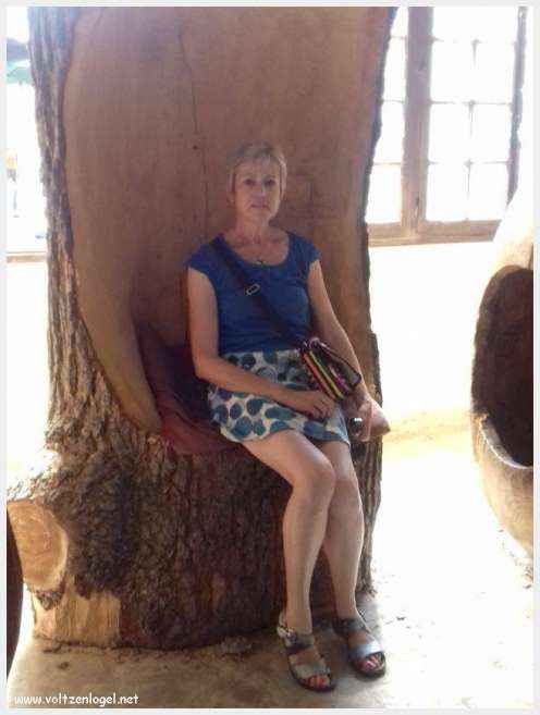 Vue panoramique sur les toits de Cordes-sur-Ciel, cité médiévale perchée