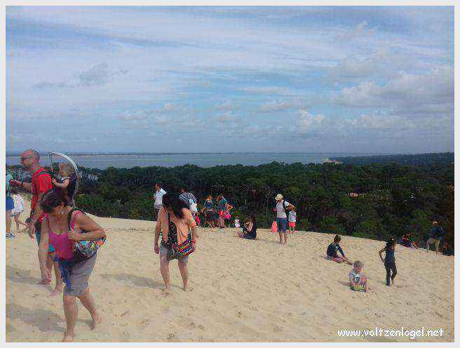 Vue panoramique de la Dune du Pilat avec le Bassin d'Arcachon en arrière-plan