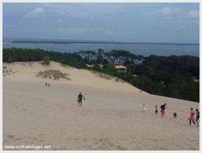 Vue panoramique de la Dune du Pilat avec le Bassin d'Arcachon en arrière-plan