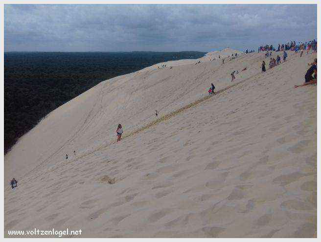 Vue panoramique de la Dune du Pilat avec le Bassin d'Arcachon en arrière-plan