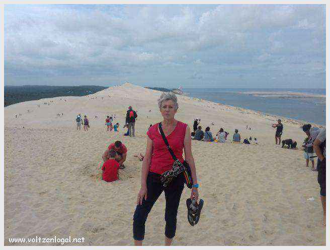 Vue panoramique de la Dune du Pilat avec le Bassin d'Arcachon en arrière-plan