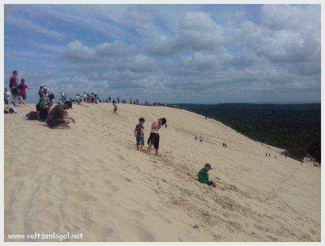 Vue panoramique de la Dune du Pilat avec le Bassin d'Arcachon en arrière-plan