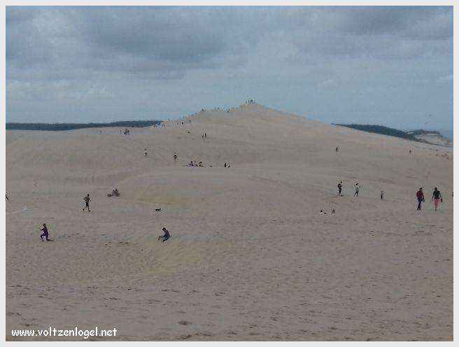 Vue panoramique de la Dune du Pilat avec le Bassin d'Arcachon en arrière-plan