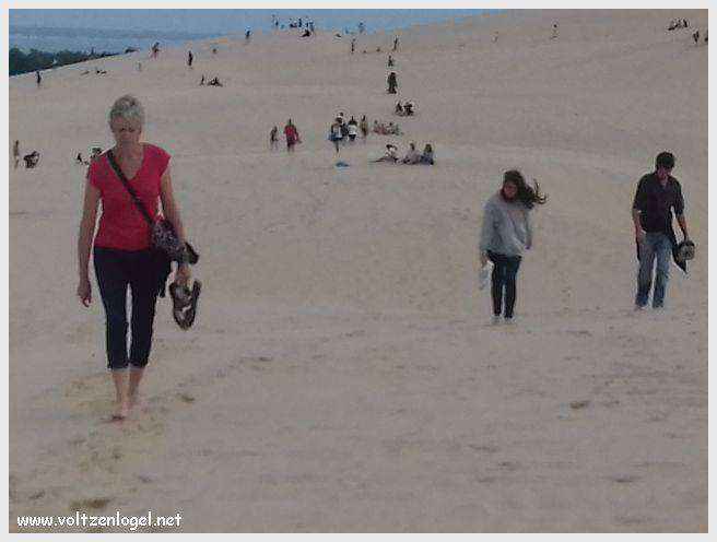 Vue panoramique de la Dune du Pilat avec le Bassin d'Arcachon en arrière-plan
