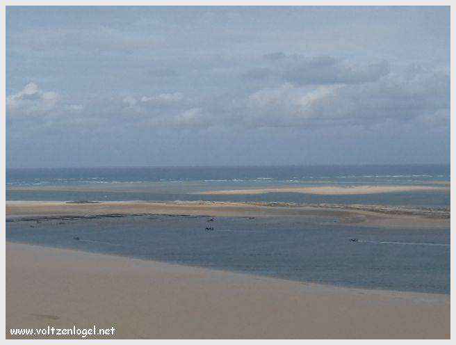 Vue panoramique de la Dune du Pilat avec le Bassin d'Arcachon en arrière-plan