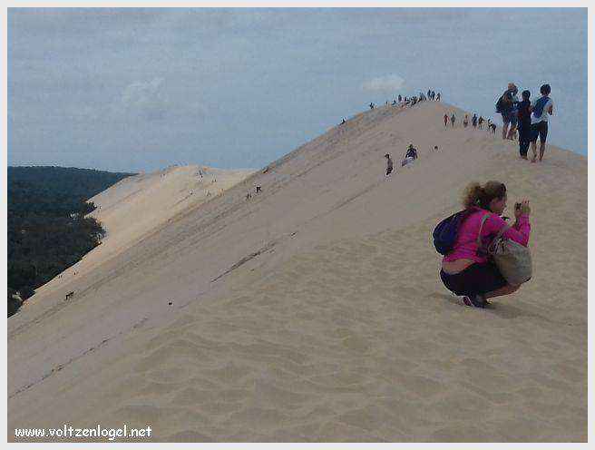 Vue panoramique de la Dune du Pilat avec le Bassin d'Arcachon en arrière-plan