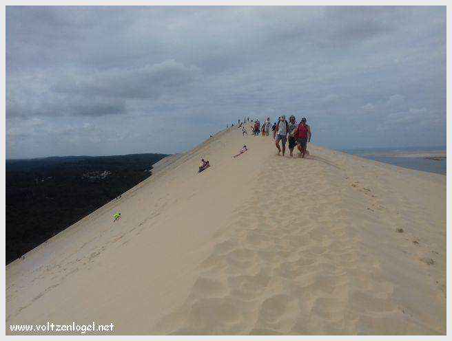 Vue panoramique de la Dune du Pilat avec le Bassin d'Arcachon en arrière-plan