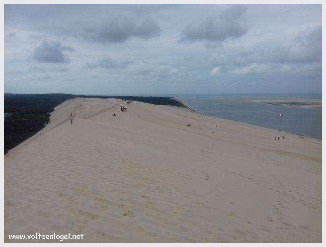 Vue panoramique de la Dune du Pilat avec le Bassin d'Arcachon en arrière-plan