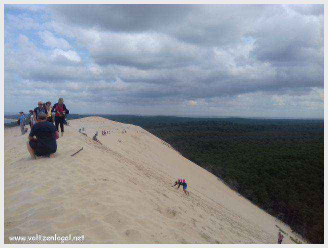 Vue panoramique de la Dune du Pilat avec le Bassin d'Arcachon en arrière-plan