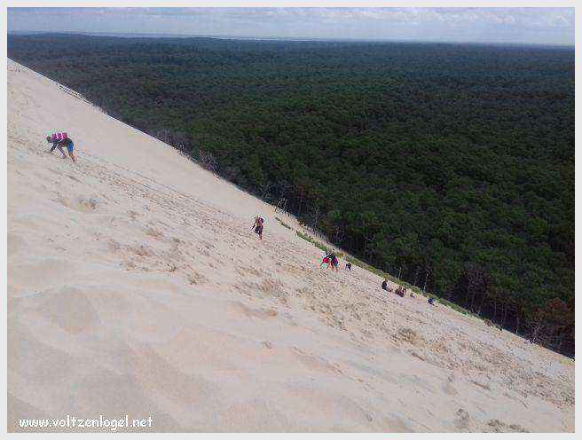 Vue panoramique de la Dune du Pilat avec le Bassin d'Arcachon en arrière-plan