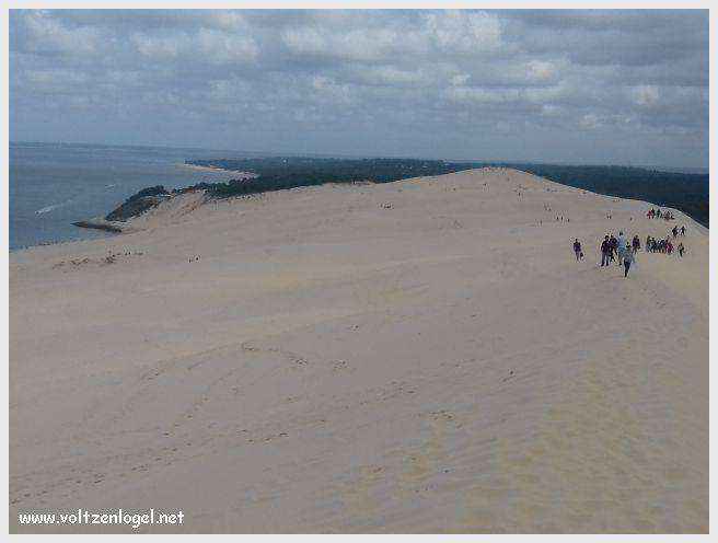 Vue panoramique de la Dune du Pilat avec le Bassin d'Arcachon en arrière-plan