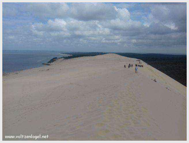 Vue panoramique de la Dune du Pilat avec le Bassin d'Arcachon en arrière-plan