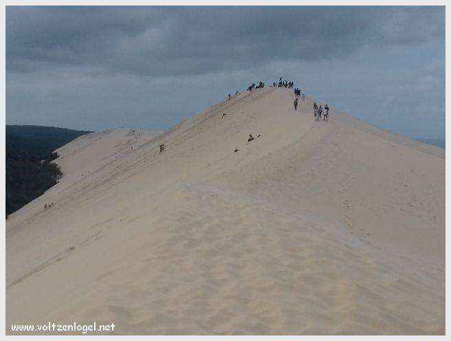 Vue panoramique de la Dune du Pilat avec le Bassin d'Arcachon en arrière-plan