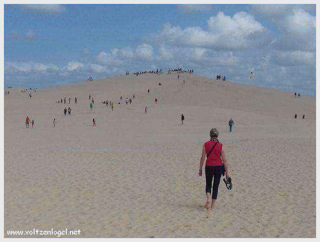 Vue panoramique de la Dune du Pilat avec le Bassin d'Arcachon en arrière-plan
