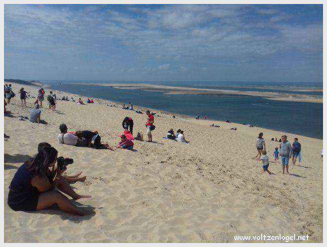 Vue panoramique de la Dune du Pilat avec le Bassin d'Arcachon en arrière-plan