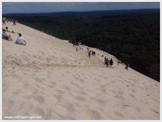 Vue panoramique de la Dune du Pilat avec le Bassin d'Arcachon en arrière-plan