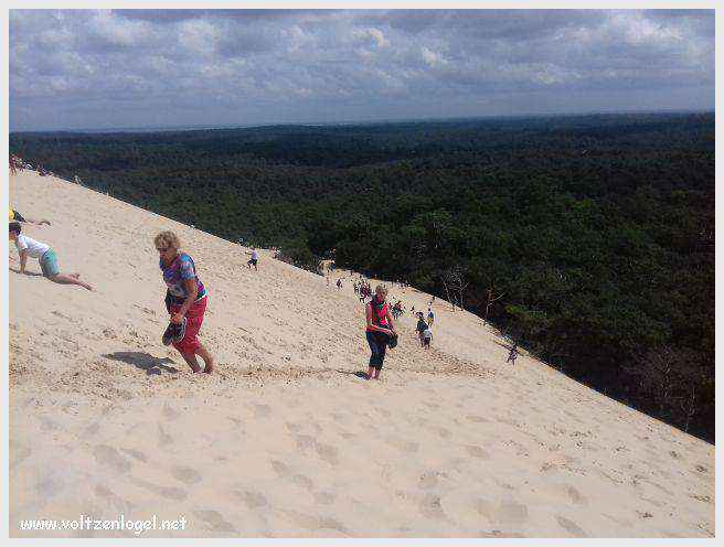 Vue panoramique de la Dune du Pilat avec le Bassin d'Arcachon en arrière-plan