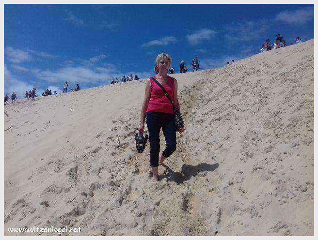Vue panoramique de la Dune du Pilat avec le Bassin d'Arcachon en arrière-plan