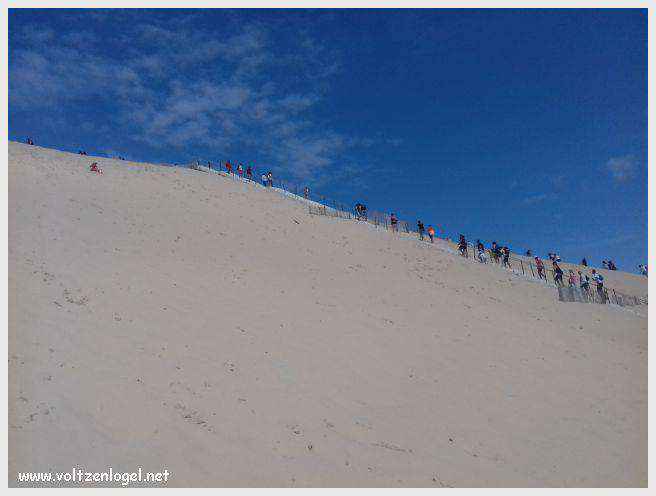 Vue panoramique de la Dune du Pilat avec le Bassin d'Arcachon en arrière-plan