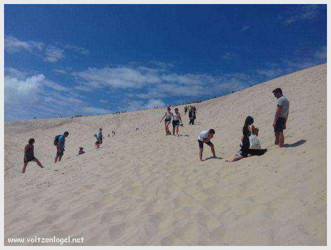Vue panoramique de la Dune du Pilat avec le Bassin d'Arcachon en arrière-plan