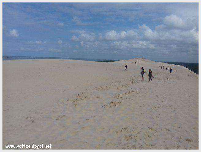 Vue panoramique de la Dune du Pilat avec le Bassin d'Arcachon en arrière-plan