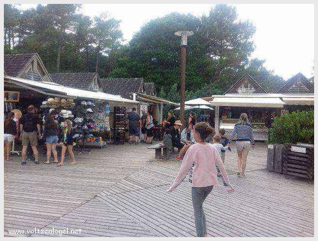 Vue panoramique de la Dune du Pilat avec le Bassin d'Arcachon en arrière-plan